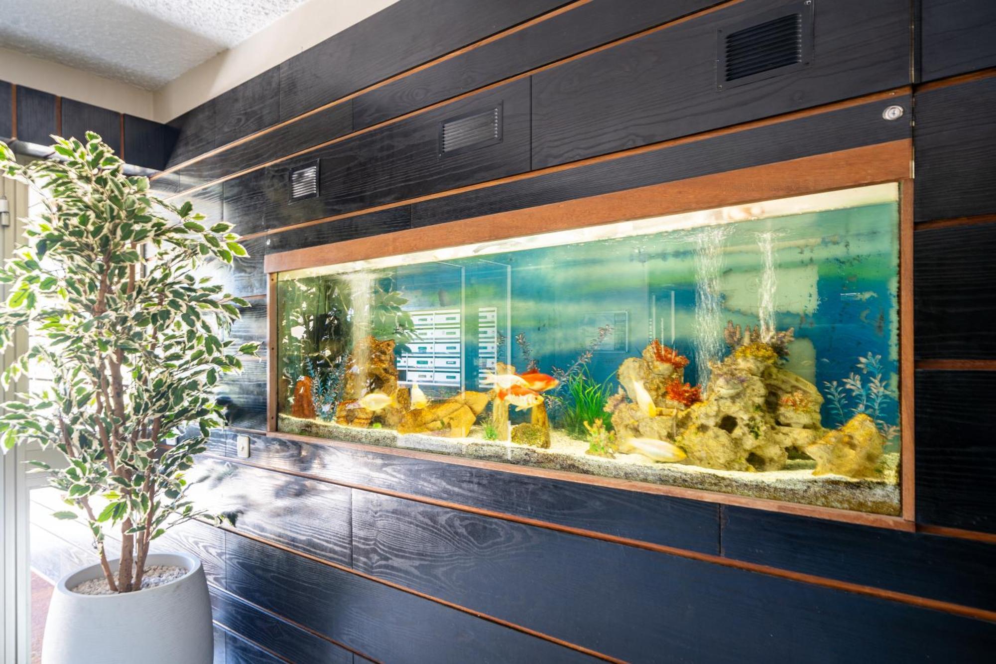 Magnifique 2 Pieces Vue Mer - Parking Proche Plage سا لُرون دو فار المظهر الخارجي الصورة